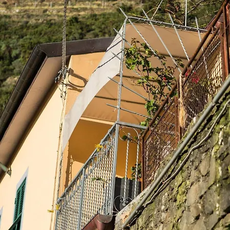 Liersena Sea View Mini With Ac Holiday home